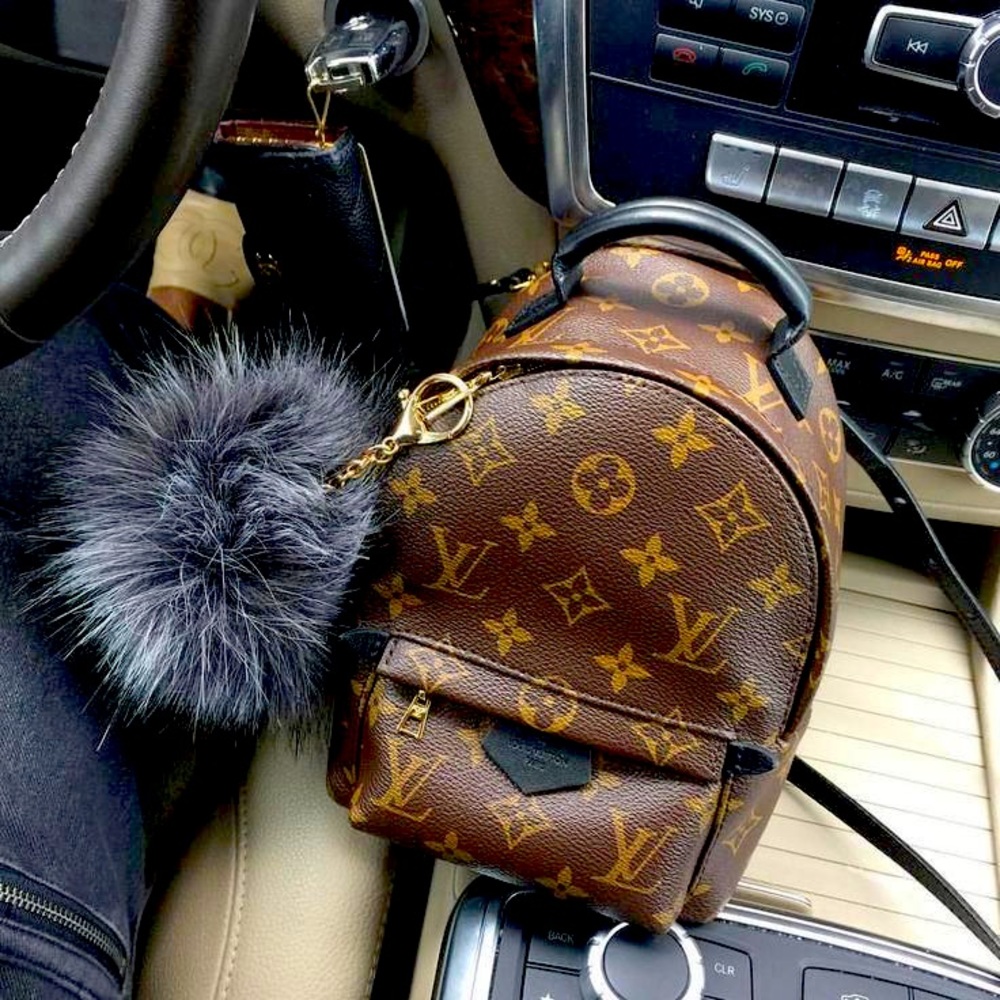 Louis Vuitton mini Palm Springs